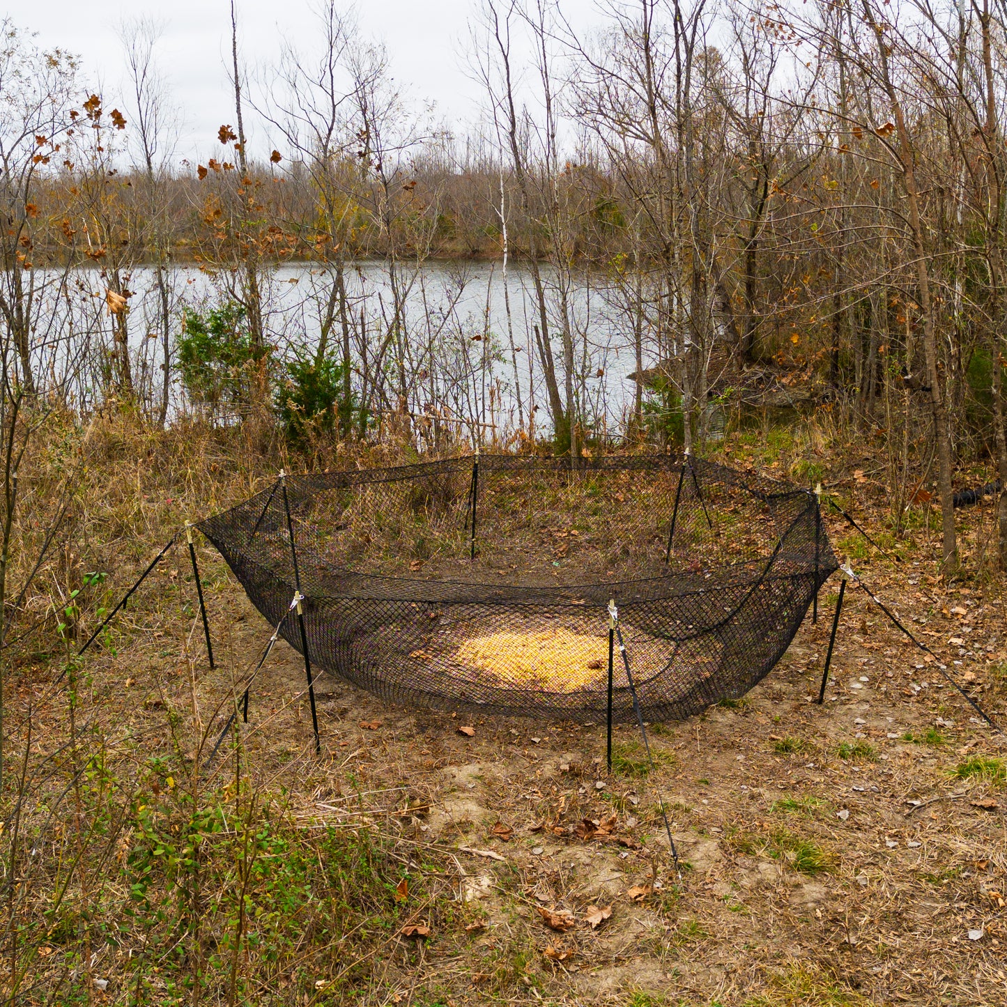 Boar Blanket Trapping System  (FREE SHIPPING WORLDWIDE!)