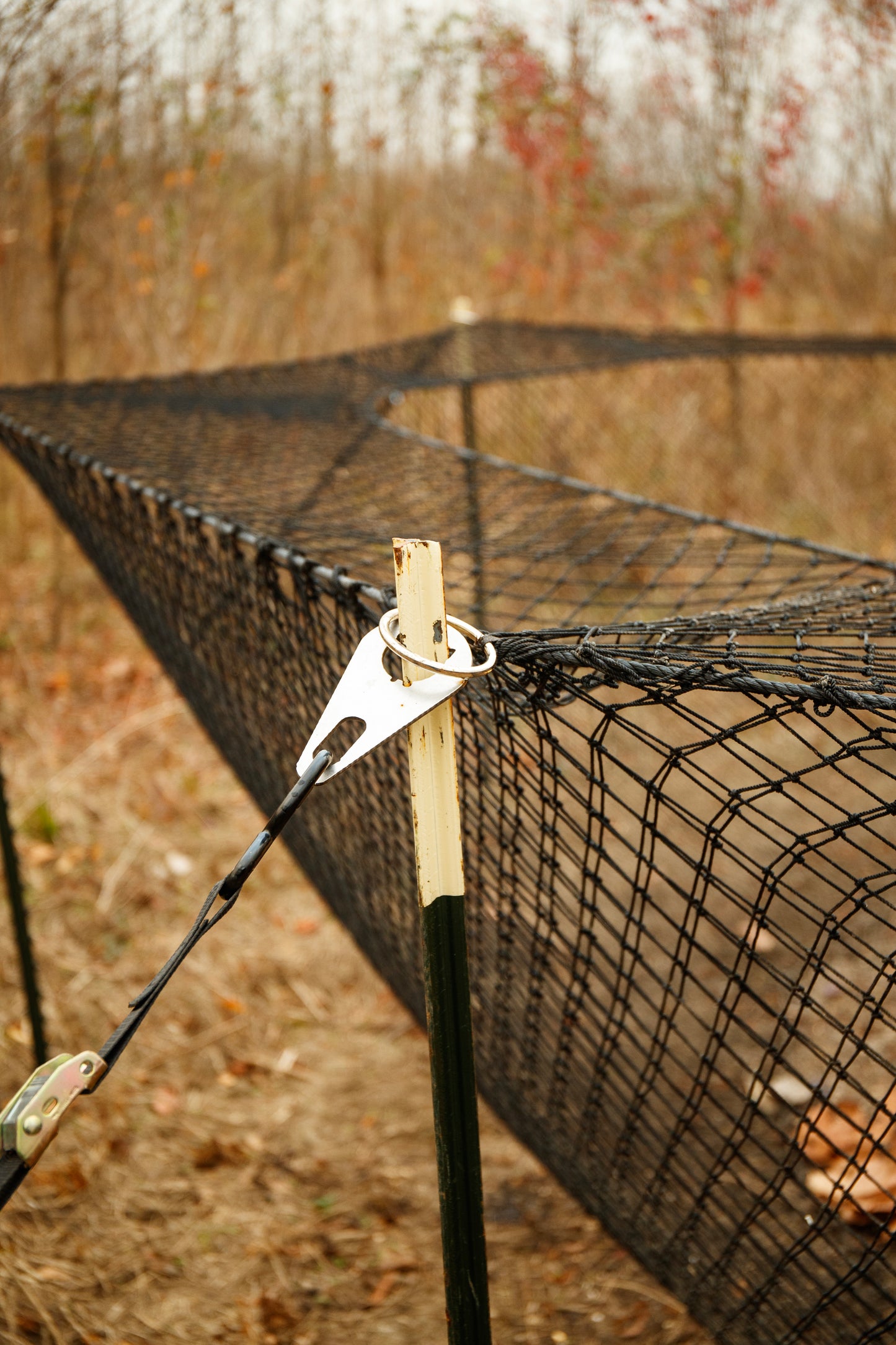 Boar Blanket Trapping System  (FREE SHIPPING WORLDWIDE!)