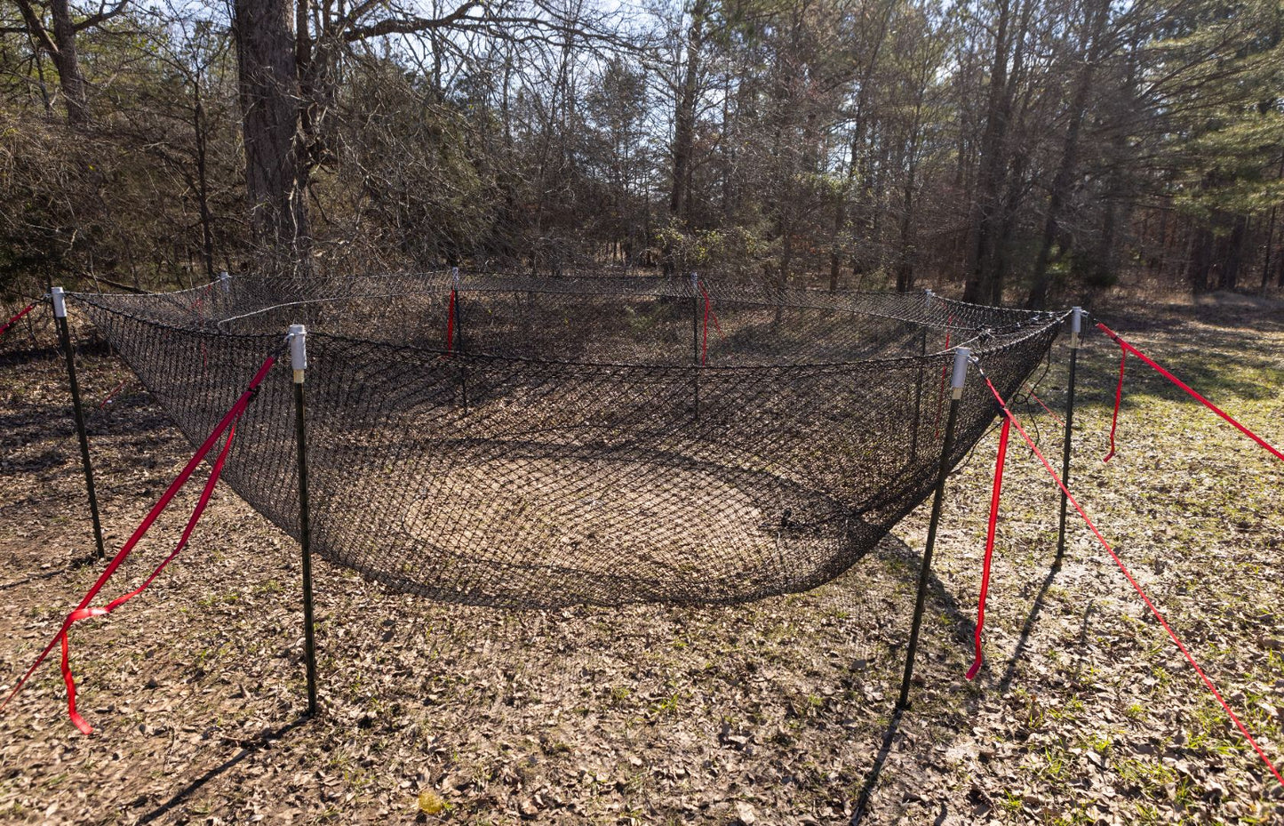 Boar Blanket Trapping System